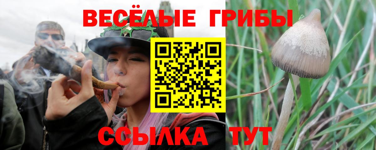 Галлюциногенные грибы прущие грибы  даркнет сайт  Кохма  Вход с VPN 